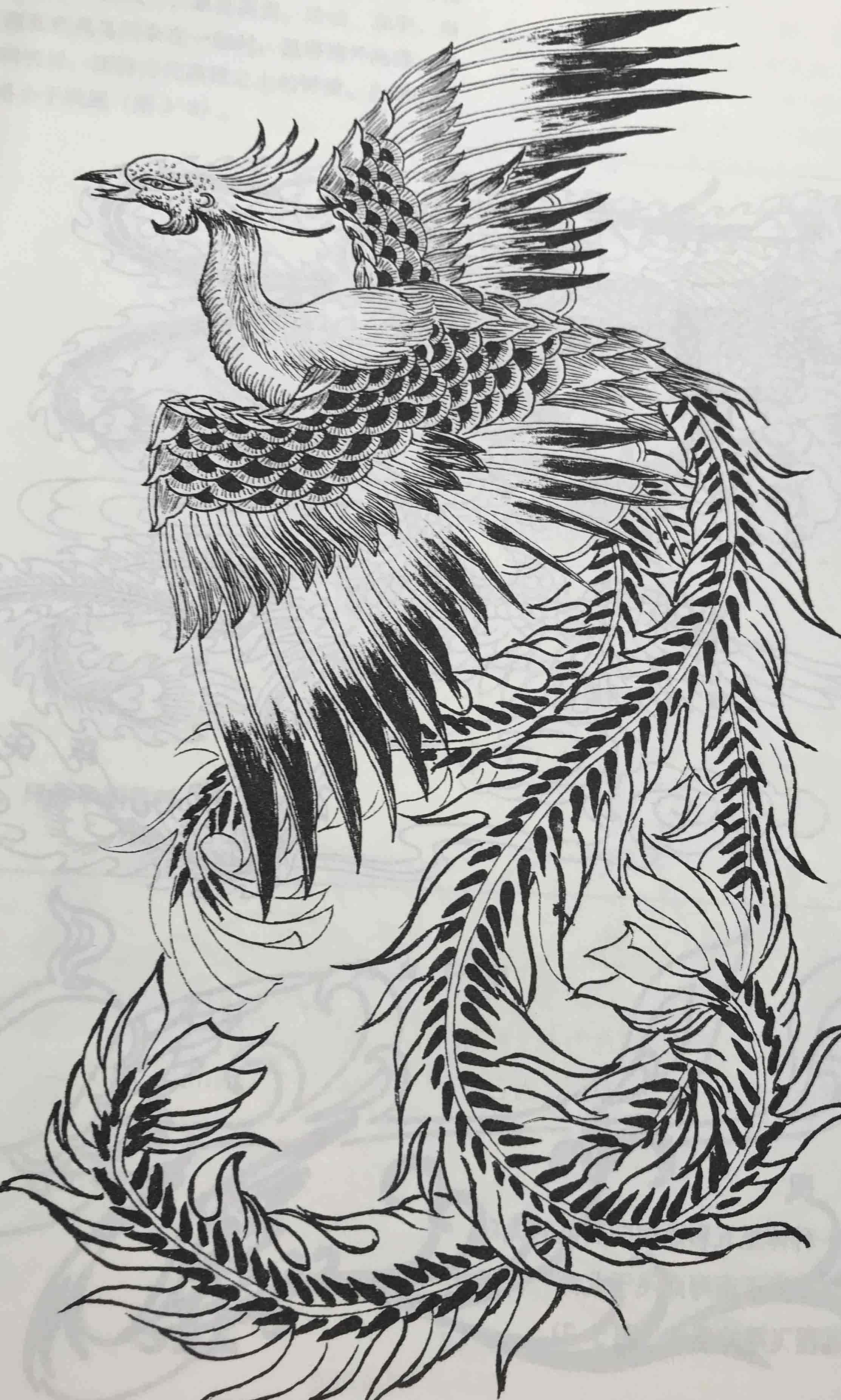 把牡丹抬上了"花中之王"的宝座,素以鸟王为称的凤凰和花王牡丹相配在