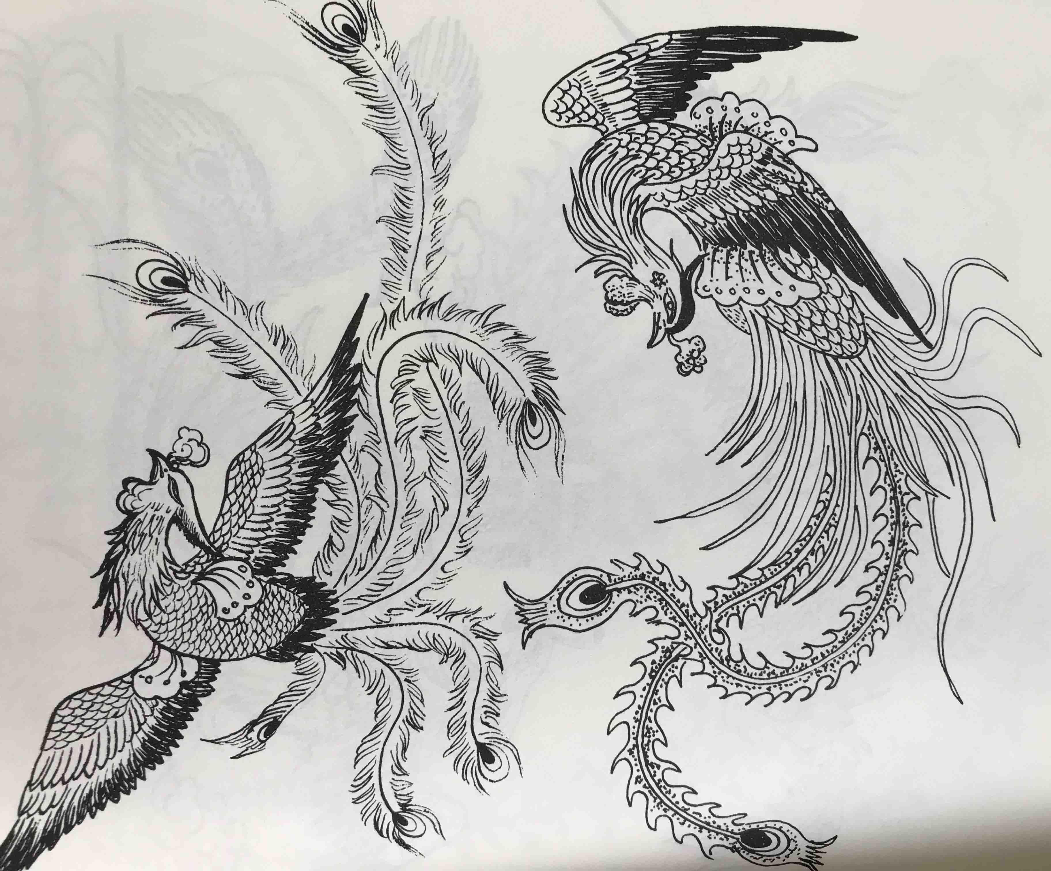 把牡丹抬上了"花中之王"的宝座,素以鸟王为称的凤凰和花王牡丹相配在