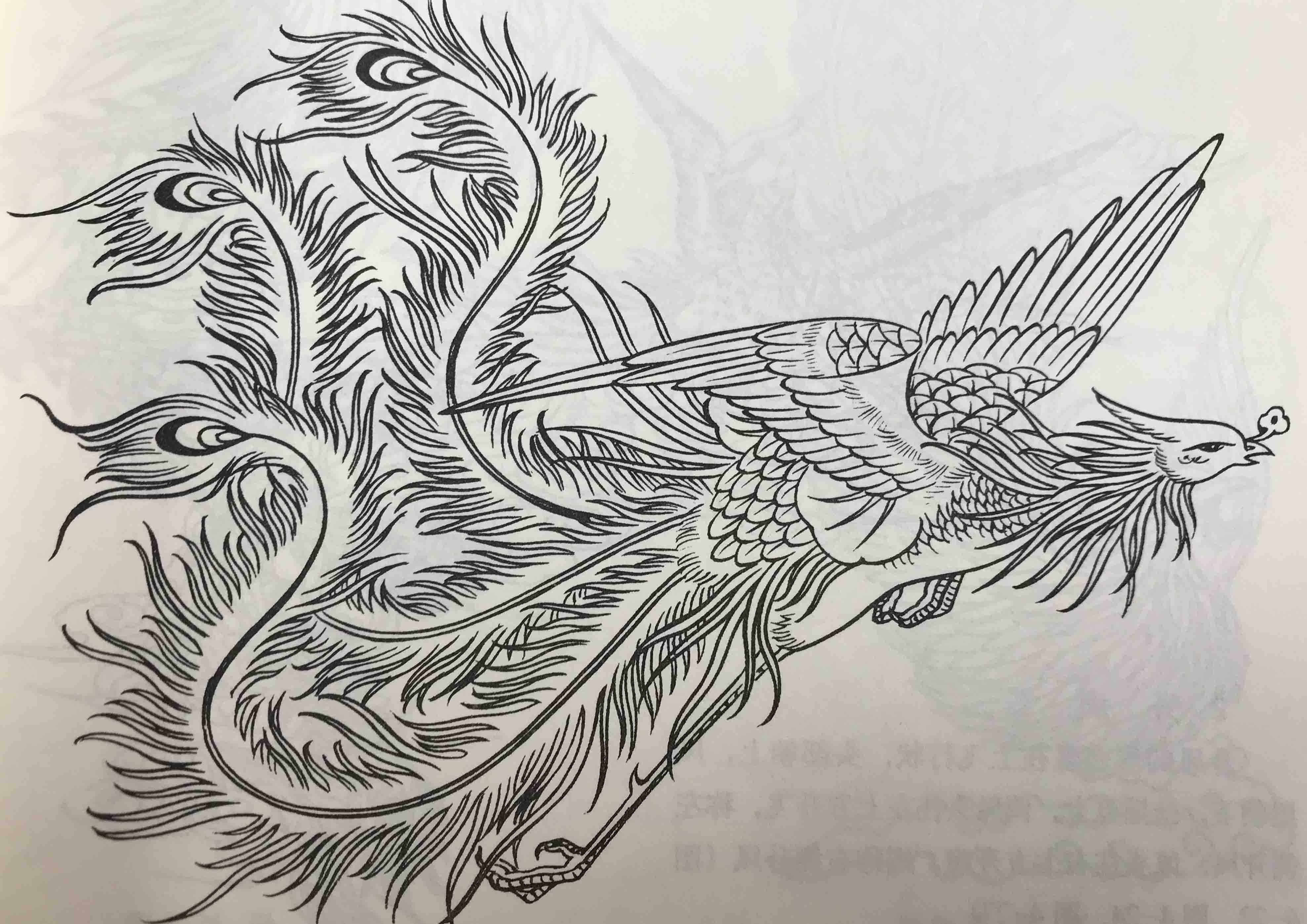 把牡丹抬上了"花中之王"的宝座,素以鸟王为称的凤凰和花王牡丹相配在