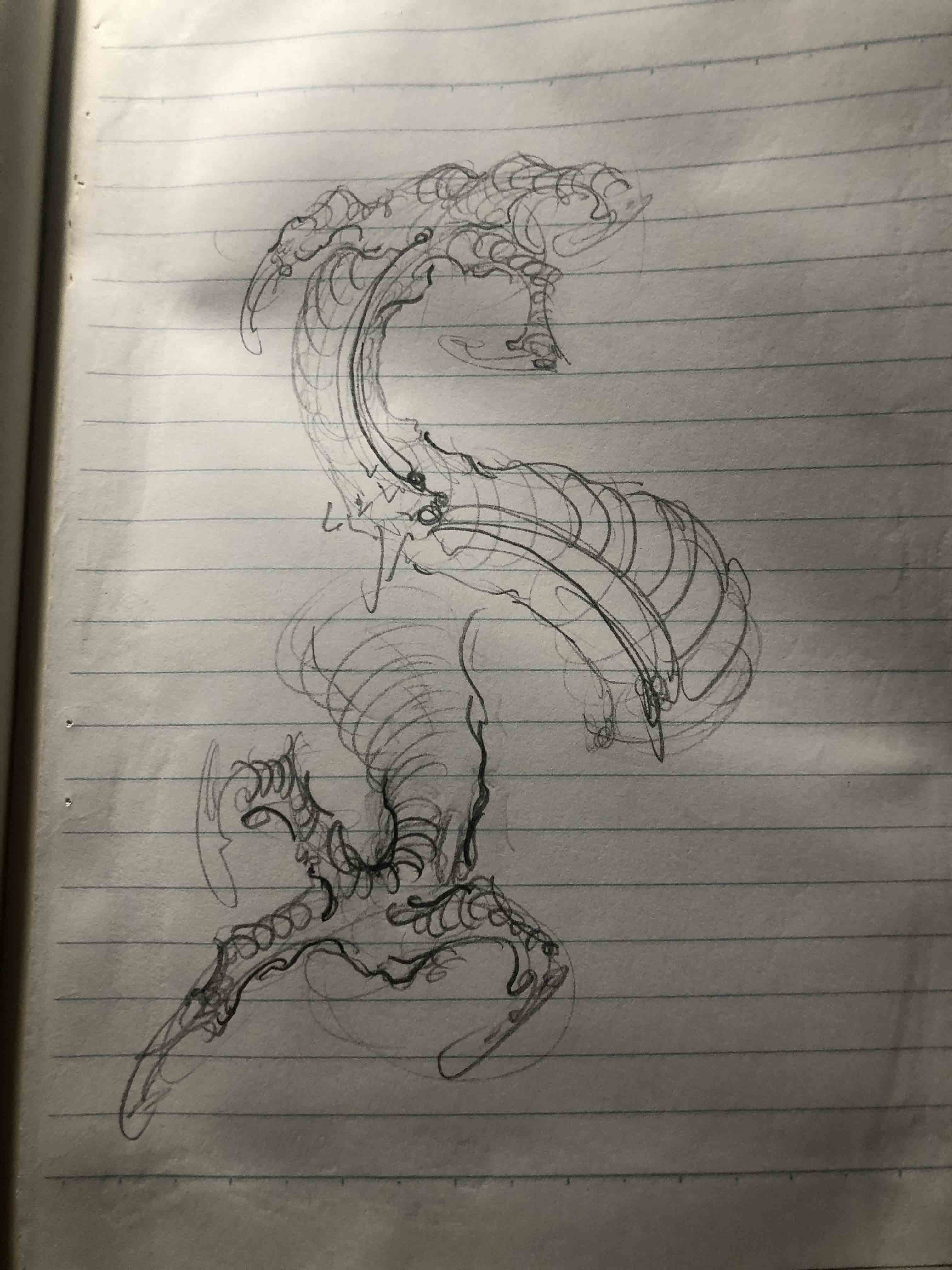 《画龙笔记》龙爪研究记
