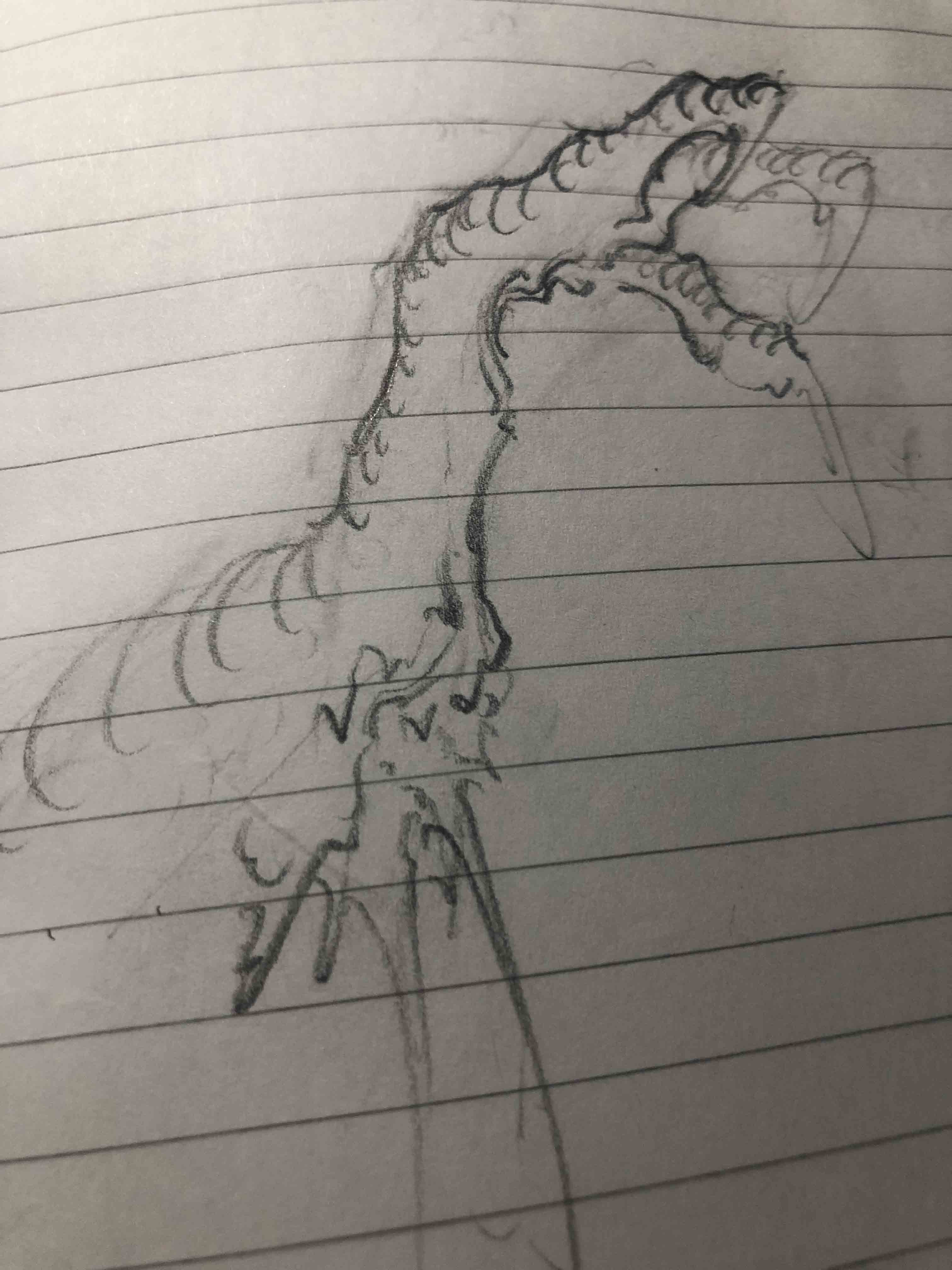 《画龙笔记》龙爪研究记