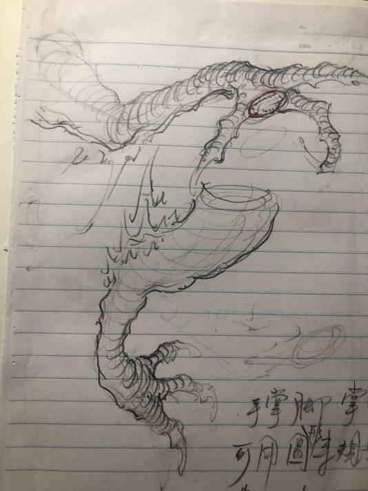 《画龙笔记》龙爪研究记